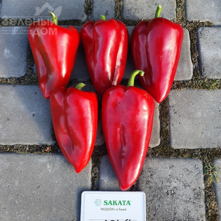 Ред Феррарі F1 / Red Ferrari F1 фото 1