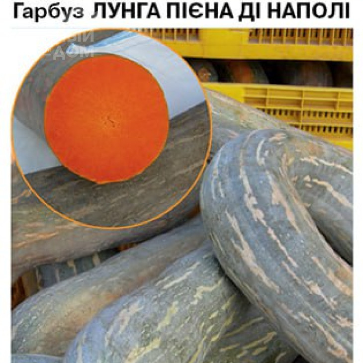 Лунга Пієна ді Наполі / Lunga Piena di Napoli фото 2