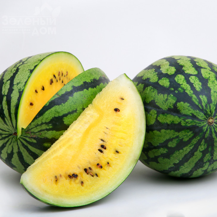 Покемон (LS 1809) F1 / Pokemon (LS 1809) F1 фото 3