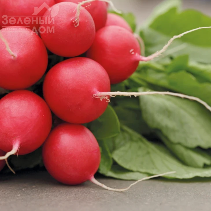 Рондар F1 / Rondar F1,18-20 дней фото 1