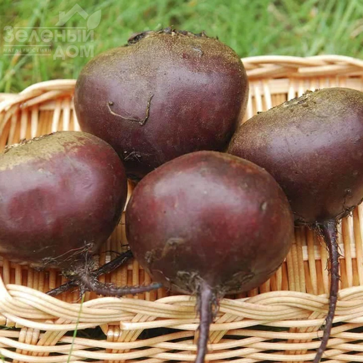 Ред Бул / Red Bull,100-105 дней фото 1