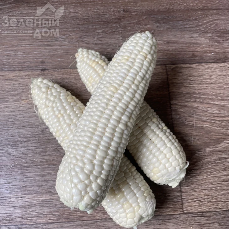 Айрон F1 / Ayron F1, 74 дня фото 4