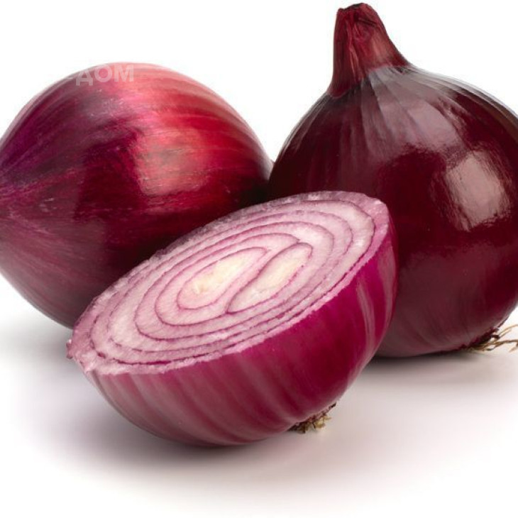 Ред Рок F1 / Red Rock F1,110 днів фото 1