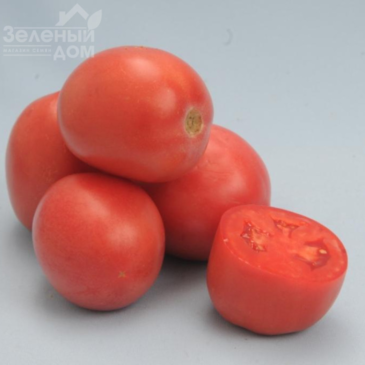 Камелот (LS 1264)  F1 / Kamelot (LS 1264)  F1,100 - 110 днів фото 2