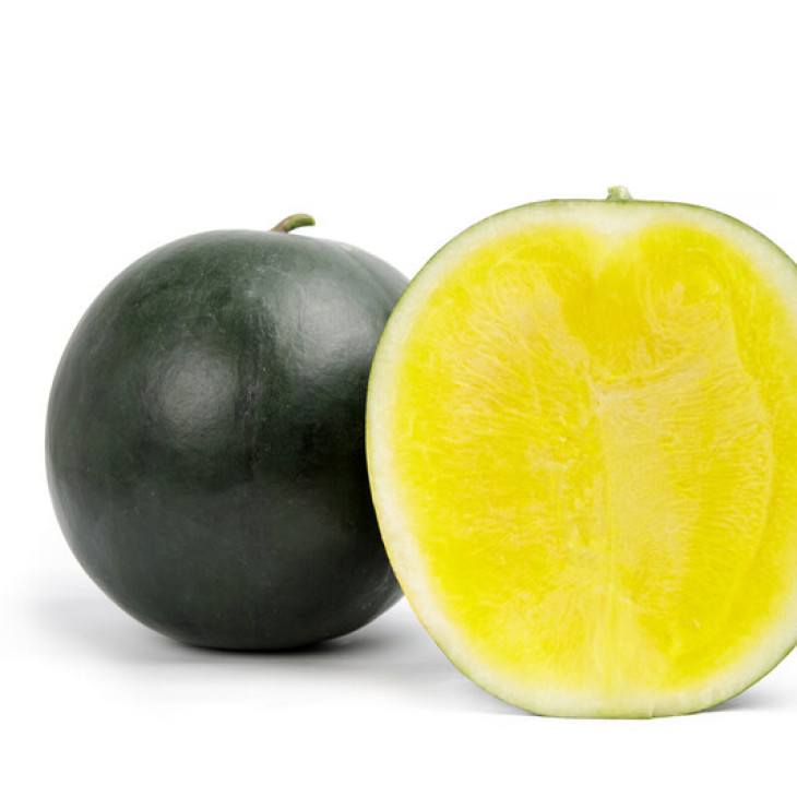 Тропікал Саншайн F1 / Tropical Sunshine F1, 62-65 днів фото 2