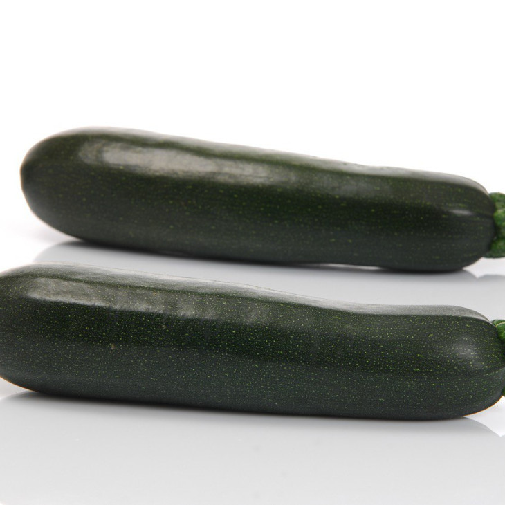 SQ 11009 F1 / SQ 11009 F1 фото 1