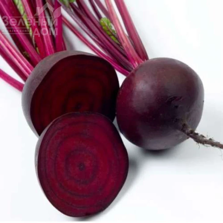 Детройт / Detroit,90-100 дней фото 4