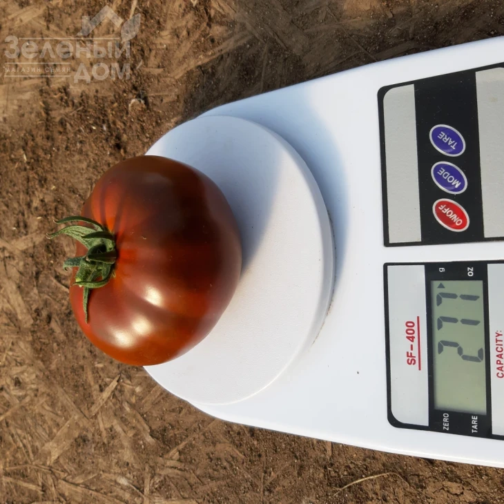 Керук F1 / Keruk F1, 70 дней фото 6