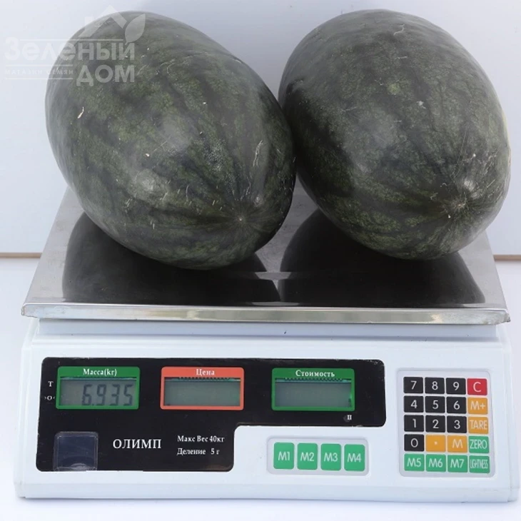 КС 250 F1 / KS 250 F1,60-65 дней фото 3