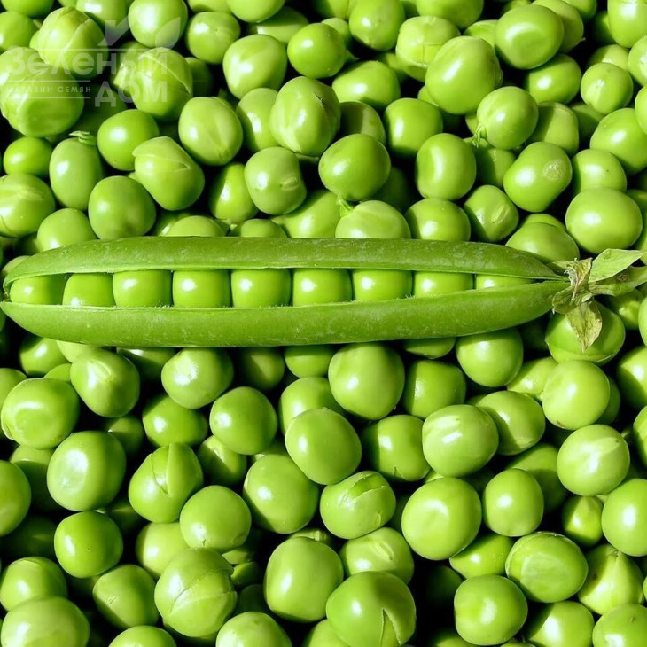 Авола / Avola фото 1