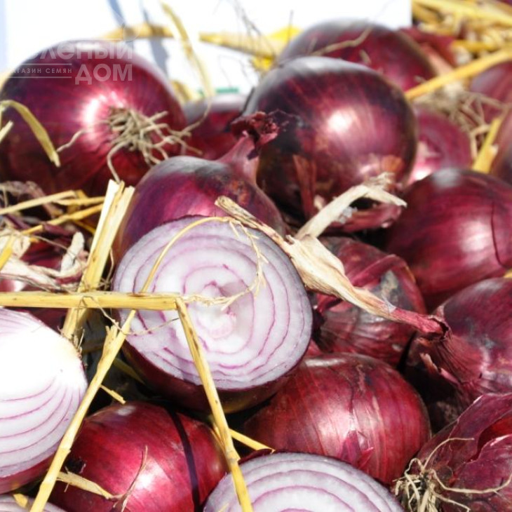 Зен (1003) F1 / Zen (1003) F1,120 днів фото 1