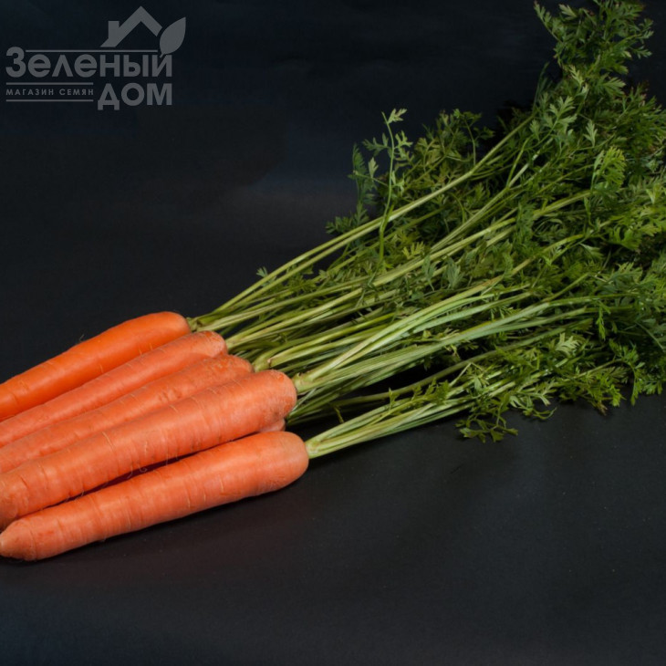 Санторін F1 / Santorin F1,120 днів фото 1