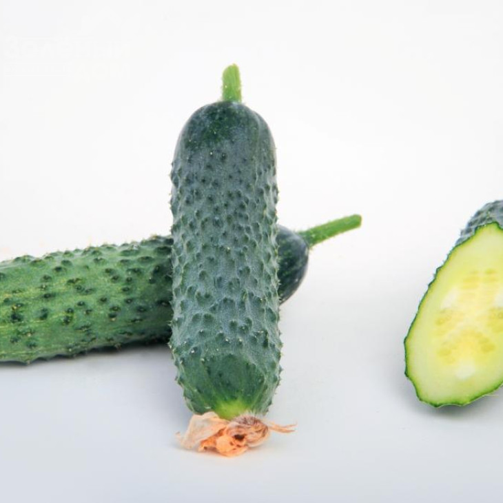 Джуніор F1 (LS 1906) / Junior F1 (LS 1906) фото 5