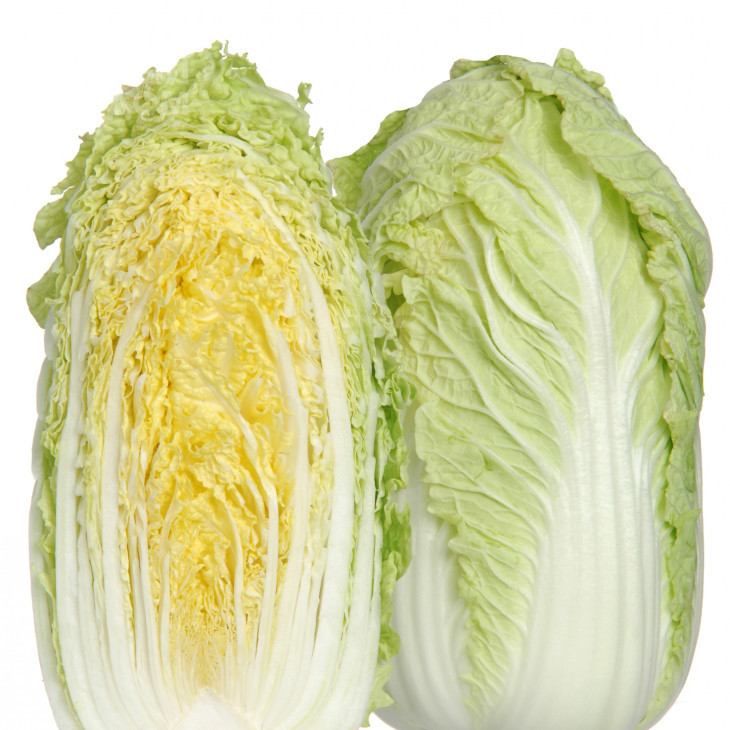 Річі F1 / Richi F1,65-75 днів фото 1