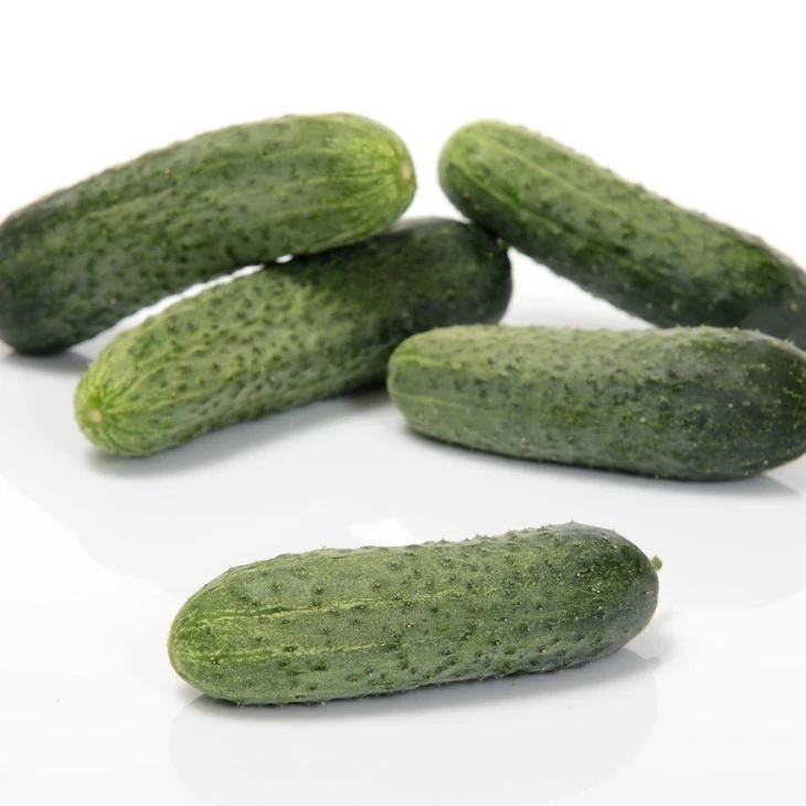 Теслин F1 / Teslin F1, 30-35 дней фото 1