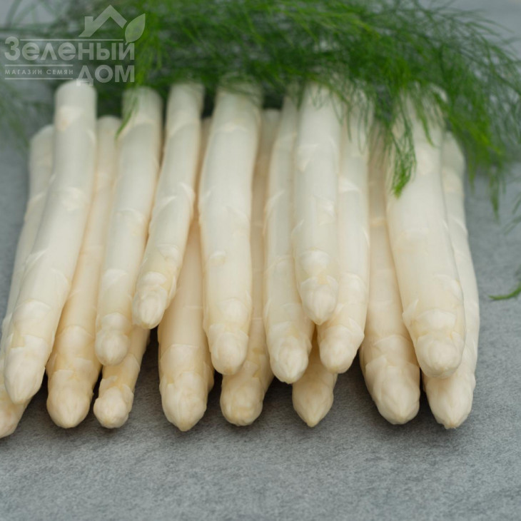 Пріус F1 / Prius F1 фото 1