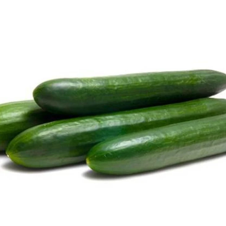 Виста F1 / Vista F1,45-50 дней фото 1