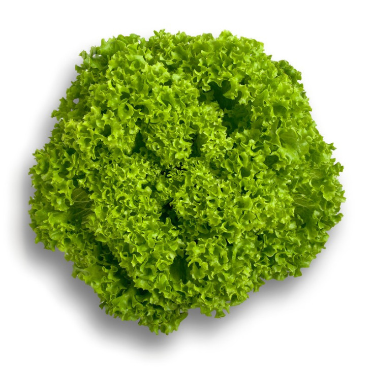 Лугано / Lugano фото 1