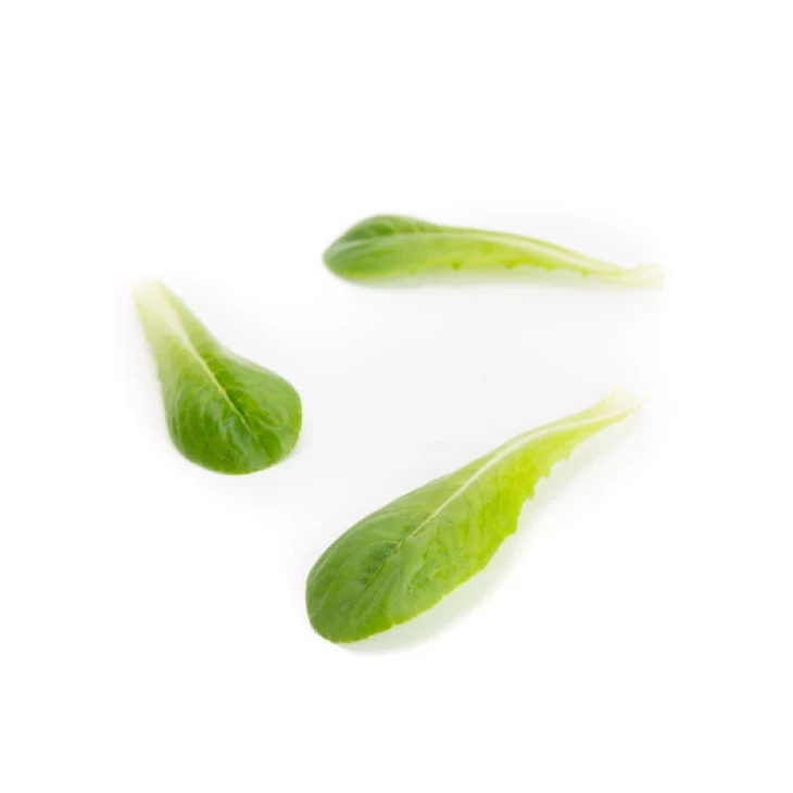 Дейволт / Daywalt фото 3