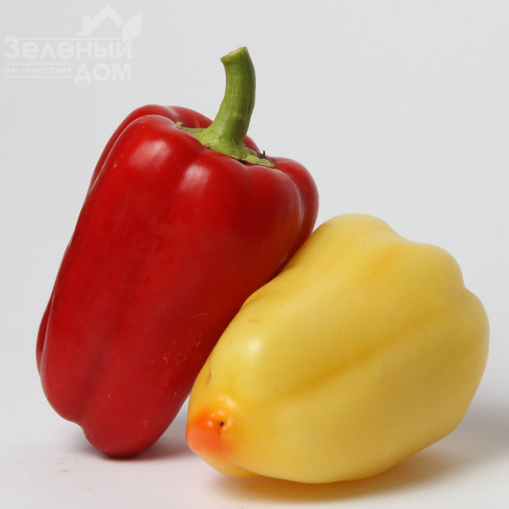 Боярд F1 / Boiyard F1,70-75 днів фото 1