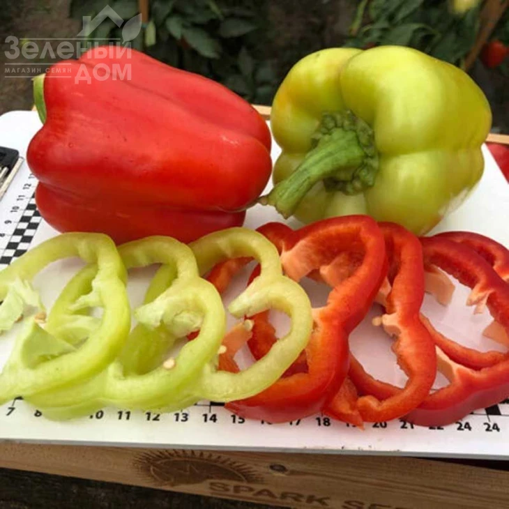 Сплит F1 / Split F1,55-60 дней  фото 2