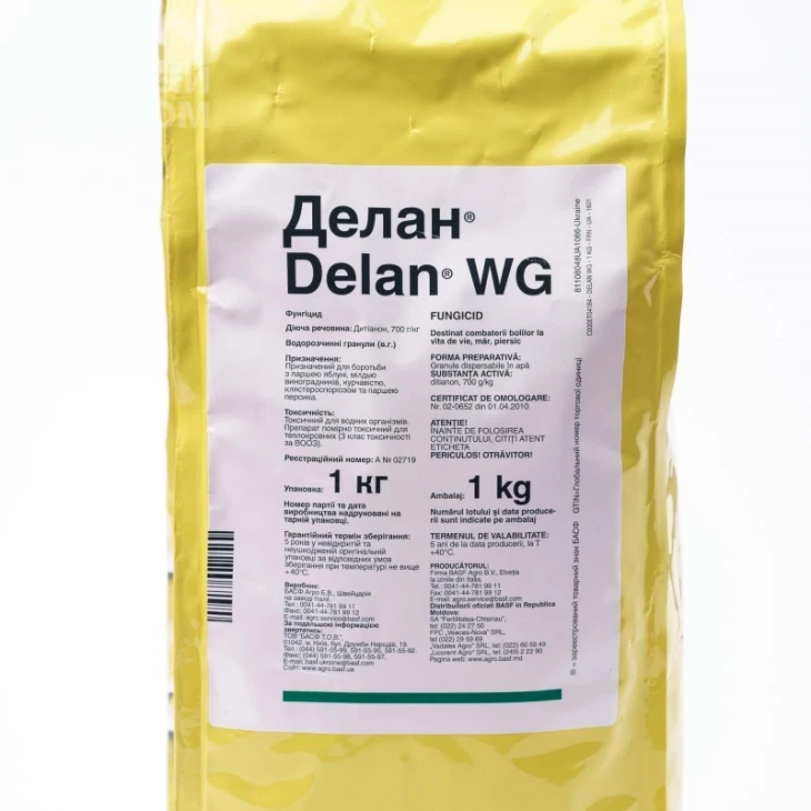 Делан / Delan WG фото 1