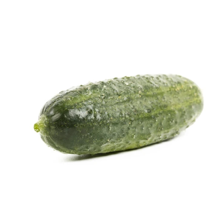 Диез F1 / Diyez F1 фото 3