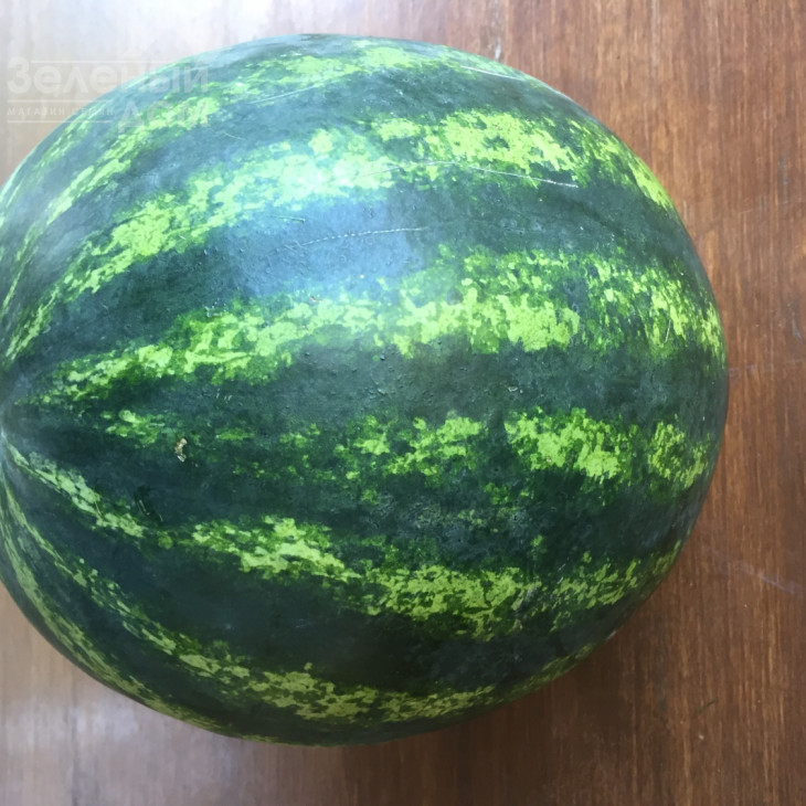 Бонта F1 / Bonta F1, 60-65 днів фото 5