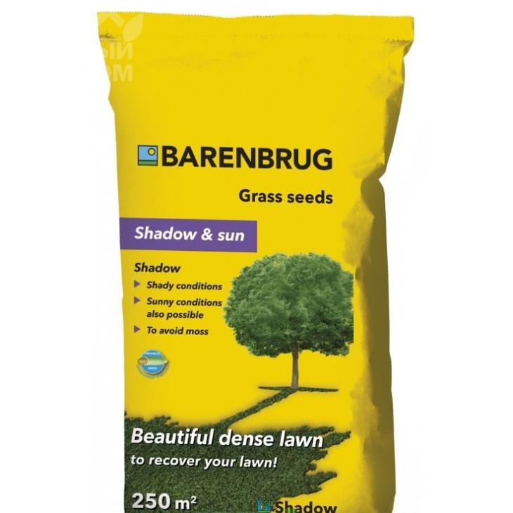 Тінь / Shadow and Sun фото 1