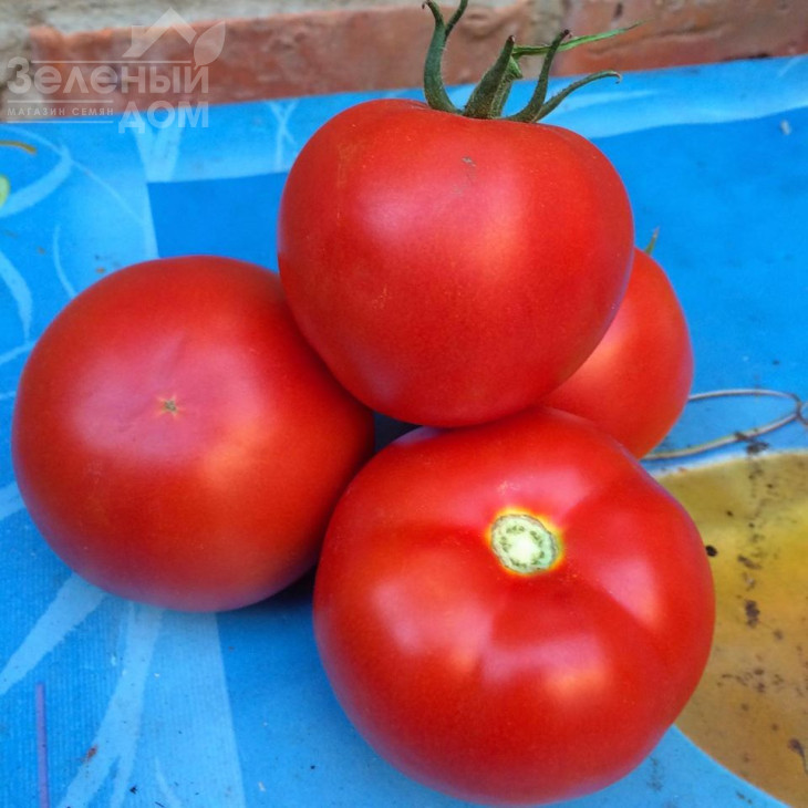 Клад F1 / Klad F1,95 днів фото 2