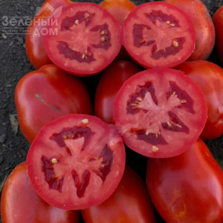 9985 F1 / 9985 F1, 120 дней фото 1