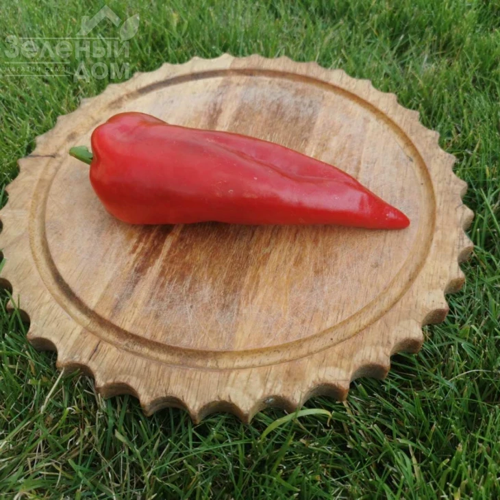 Магус F1 / Magush F1,60-65 дней фото 1