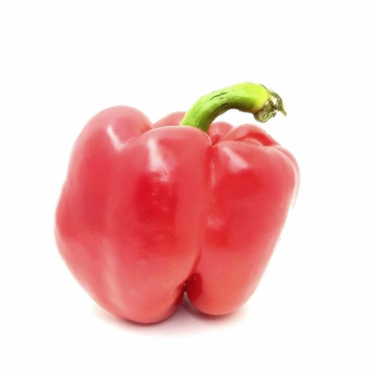 Диагорас F1 / Diahoras F1 фото 4