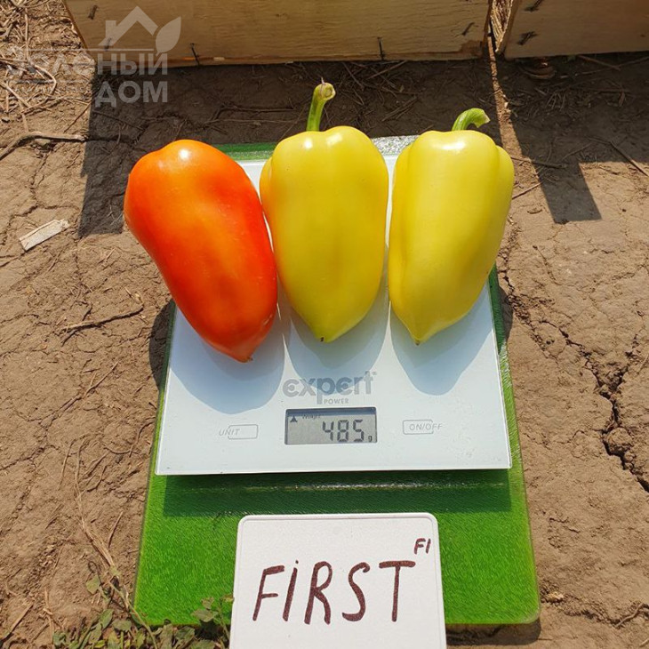 Фьорст F1 / First F1, 55-60 днів фото 2