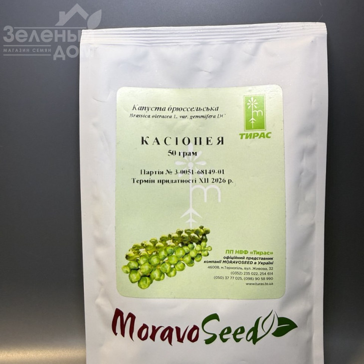 Касіопея / Casiopea,155-165 днів фото 3