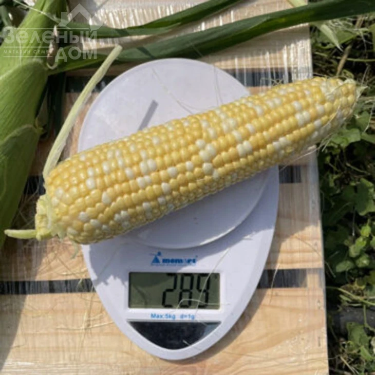 Дефендер F1 / Defender F1,74 дня фото 1