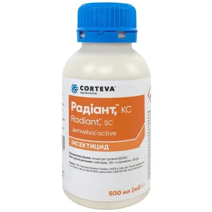 Радиант КС / Radiant KS фото 1