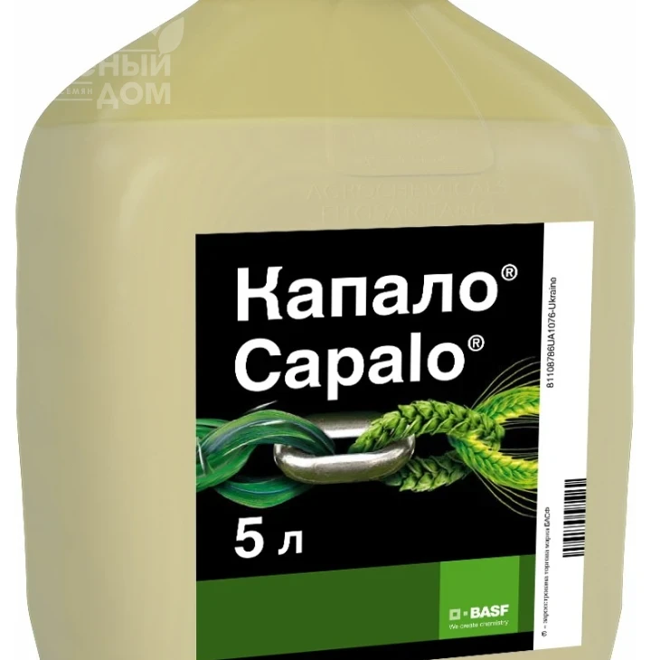 Капало / Capalo, СЕ фото 1