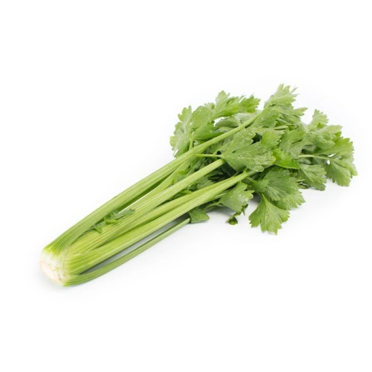 Келвин / Kelvin,140 дней фото 2