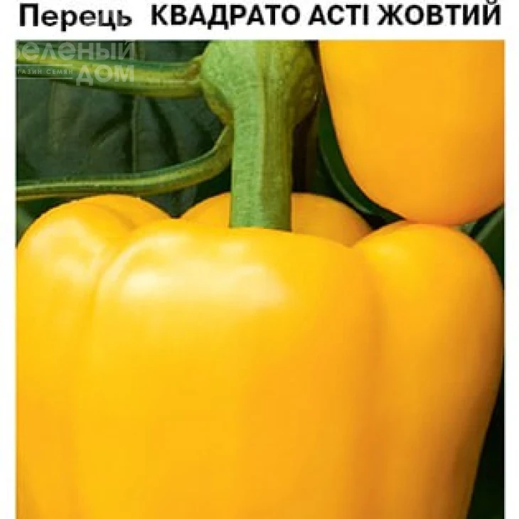 Квадрато Асти желтый / Kvadrato Asti, 110 дней фото 1