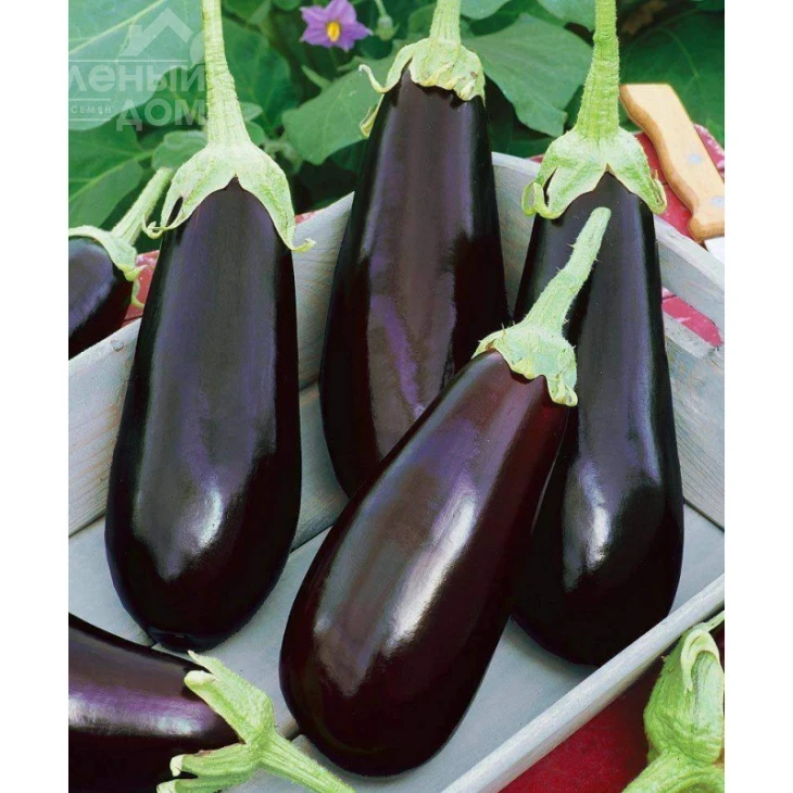 Гоби / Gobi фото 1