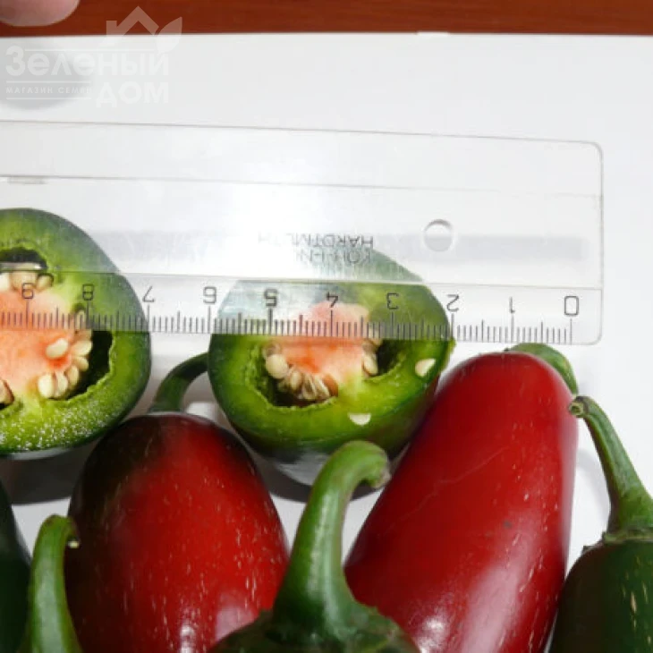 1851 F1 / 1851 F1,60 дней фото 2