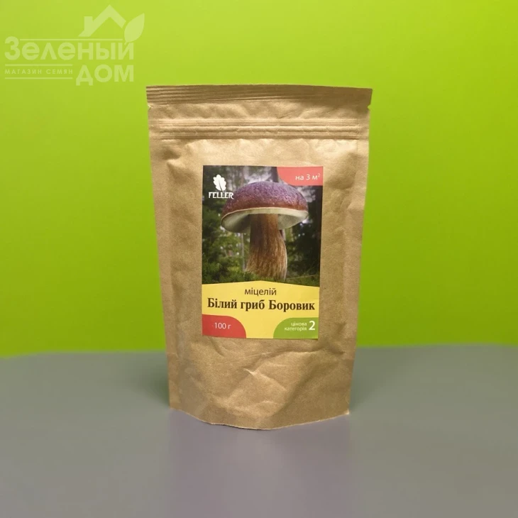 Белый гриб Боровик фото 1