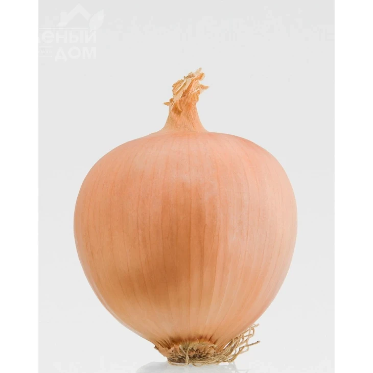 Алонсо F1 / Alonso F1,110-115 дней фото 2