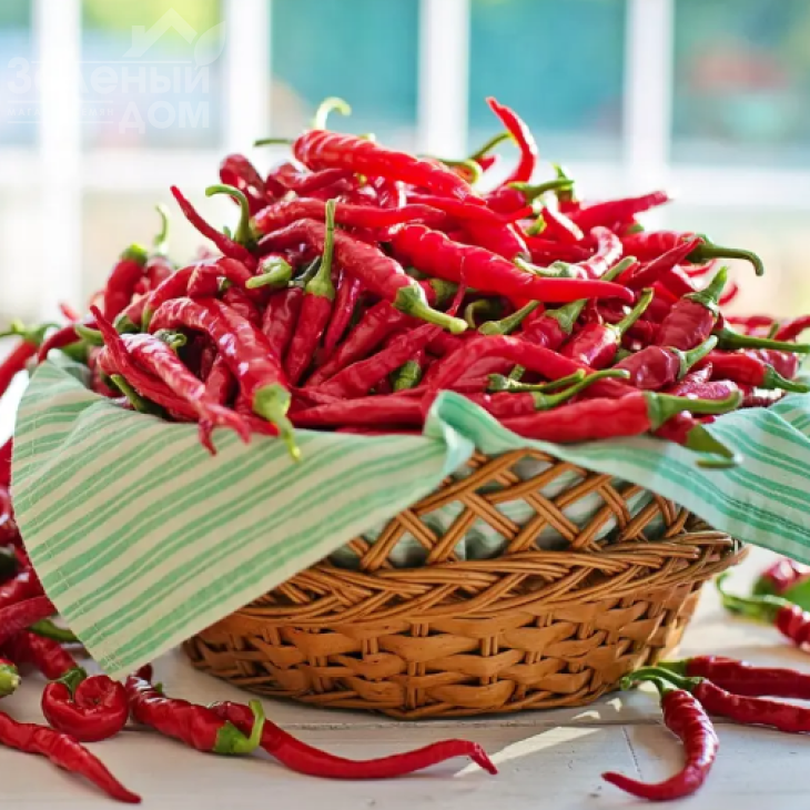 Піноккіо F1 / Pinokkio F1 фото 1