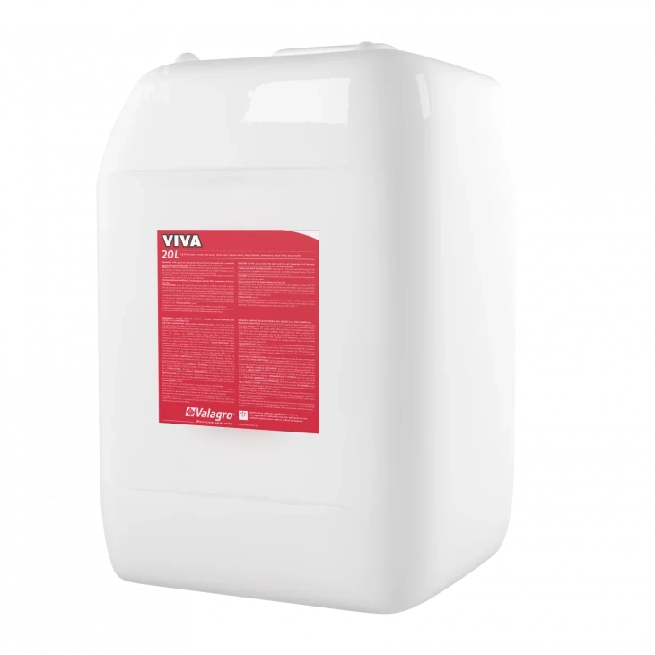 Вива / Viva фото 6