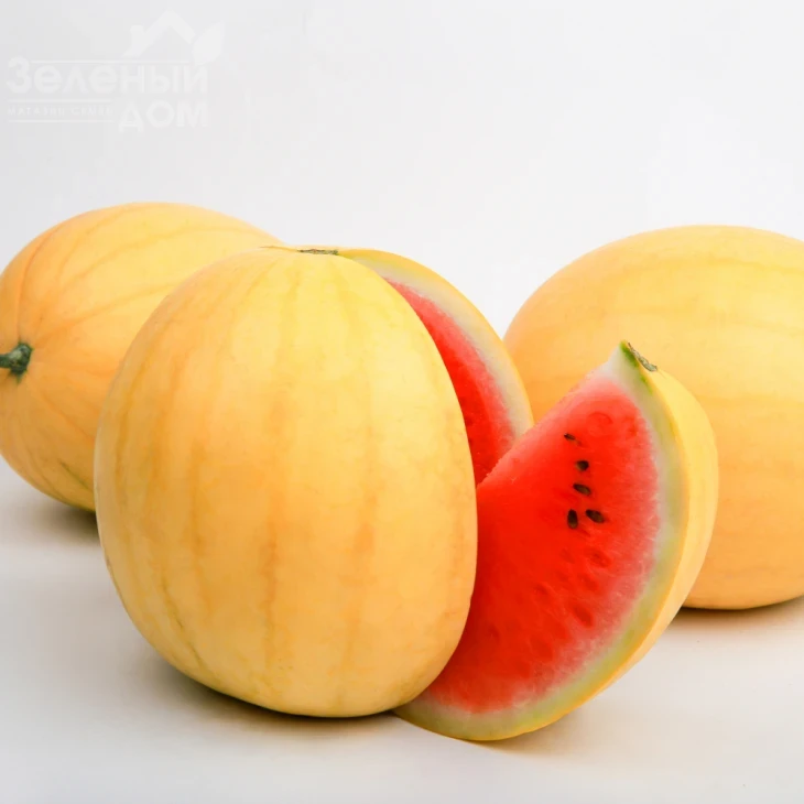 Золотой Огонек F1 (LS 1820) / Zolotoy Ogonjok F1  (LS 1820), 58-62 дня фото 1