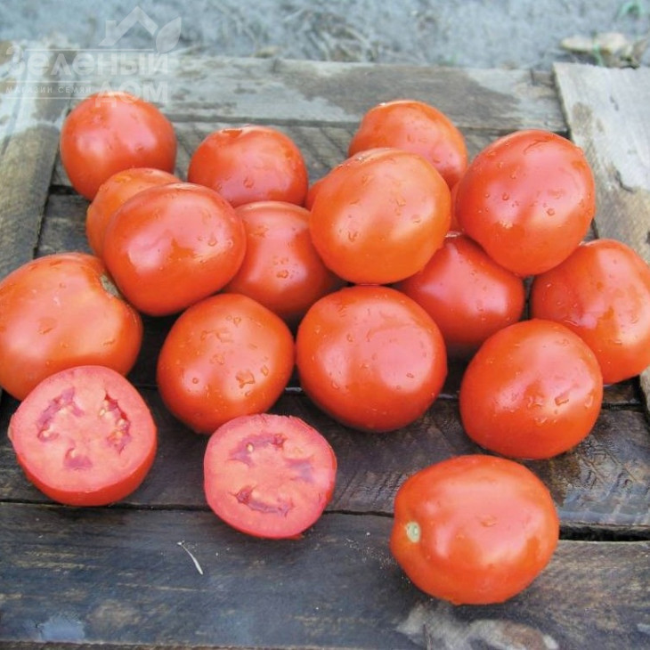 Вулкан F1 / Vulcan F1,105-110 днів фото 1