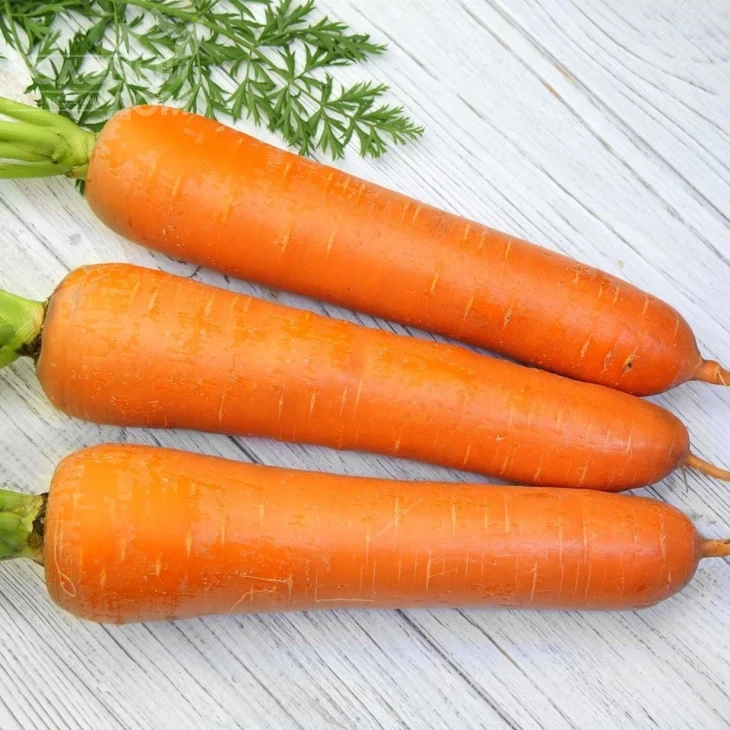 Титан F1 / Titan F1,90 дней фото 2