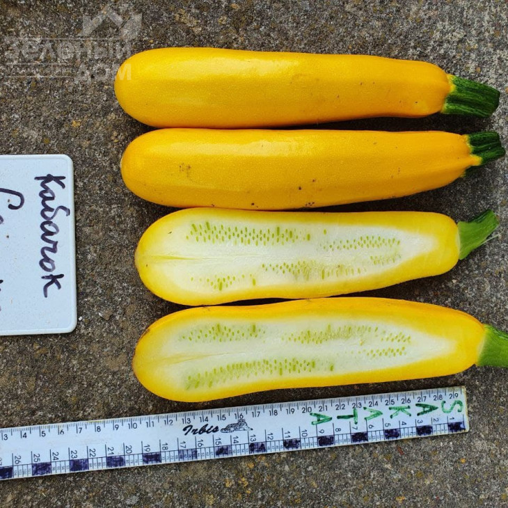 Лемона F1 / Lemona F1, 38-40 днів фото 4